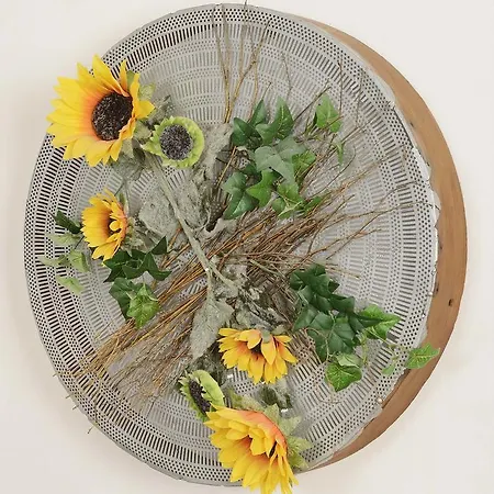 Domaine De La Cour Sainte-Gemme-dʼAndigné