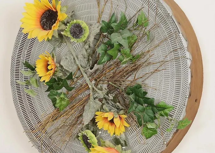 Domaine De La Cour Sainte-Gemme-dʼAndigné